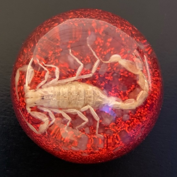 Scorpion Paperweight Acrylic Resin Dome Red Base with Glitter Felt Bottom - Picture 14 of 14